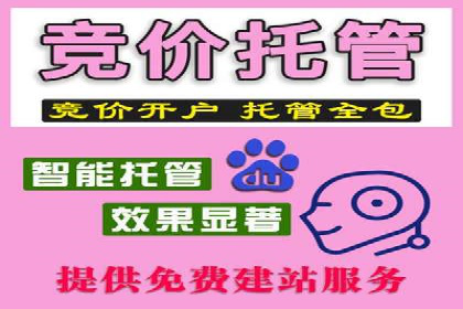 谷歌SEM广告投放的ROI优化：一家科技公司的成功经验